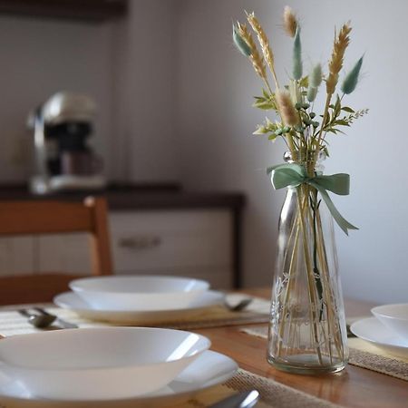 Ketal Apartment Брашов Экстерьер фото